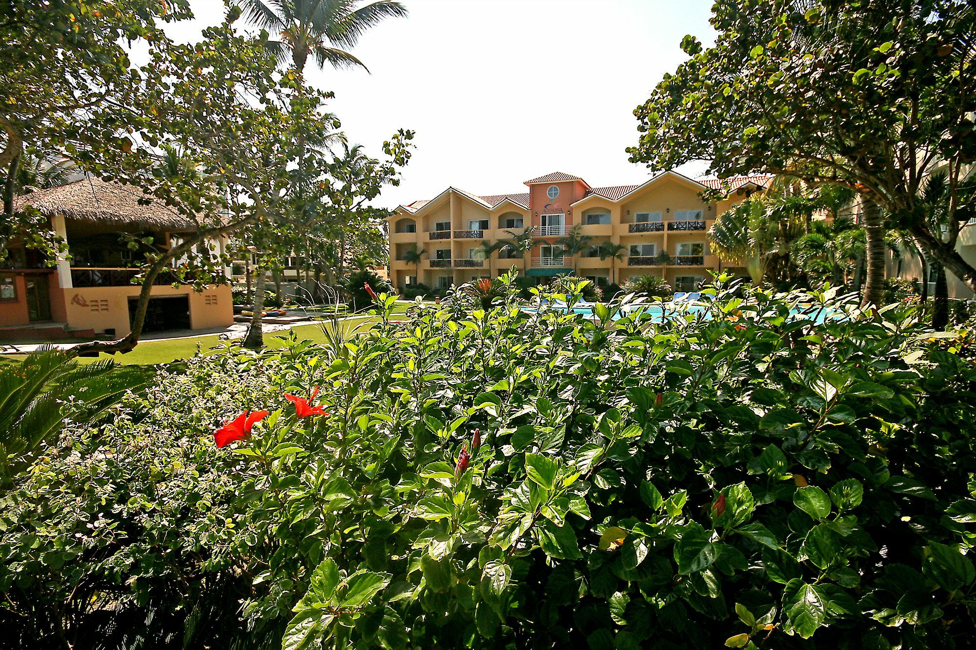 Agualina Kite Resort Cabarete Eksteriør bilde